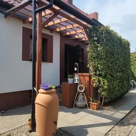 Promyk - & - Dla Doroslych *