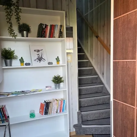 Promyk - & - Dla Doroslych Apartamento Białogóra