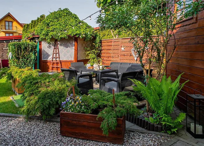 Promyk - & - Dla Doroslych *