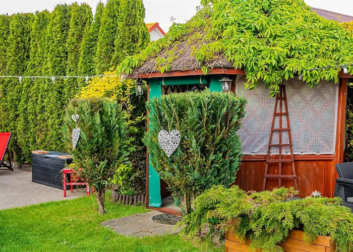 Promyk - & - Dla Doroslych *